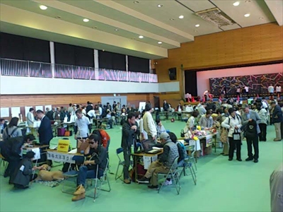 展示コーナーの写真です